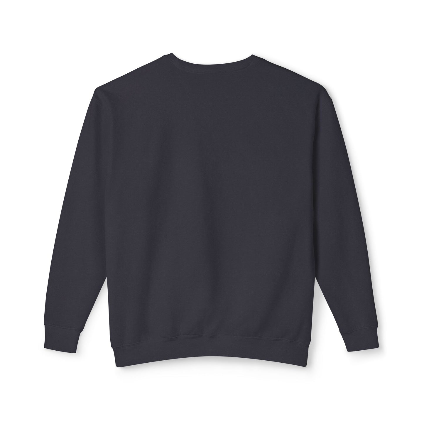 Joy Is My Protest Sweatshirt | Armor of Joy™ Unisex Lightweight Crewneck | Faith-Based Inspirational Gift, Mindful Protest Apparel, Everyday Casual Wear