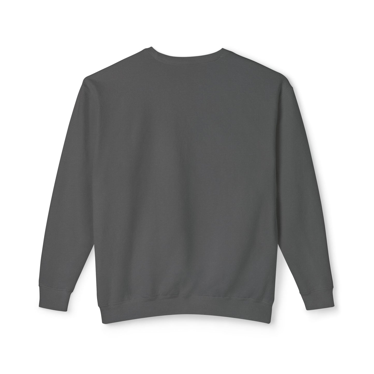 Joy Is My Protest Sweatshirt | Armor of Joy™ Unisex Lightweight Crewneck | Faith-Based Inspirational Gift, Mindful Protest Apparel, Everyday Casual Wear
